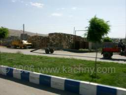 PICT7915 vezou roxory.jpg